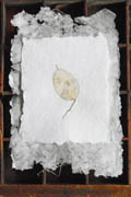 Decorative paper making